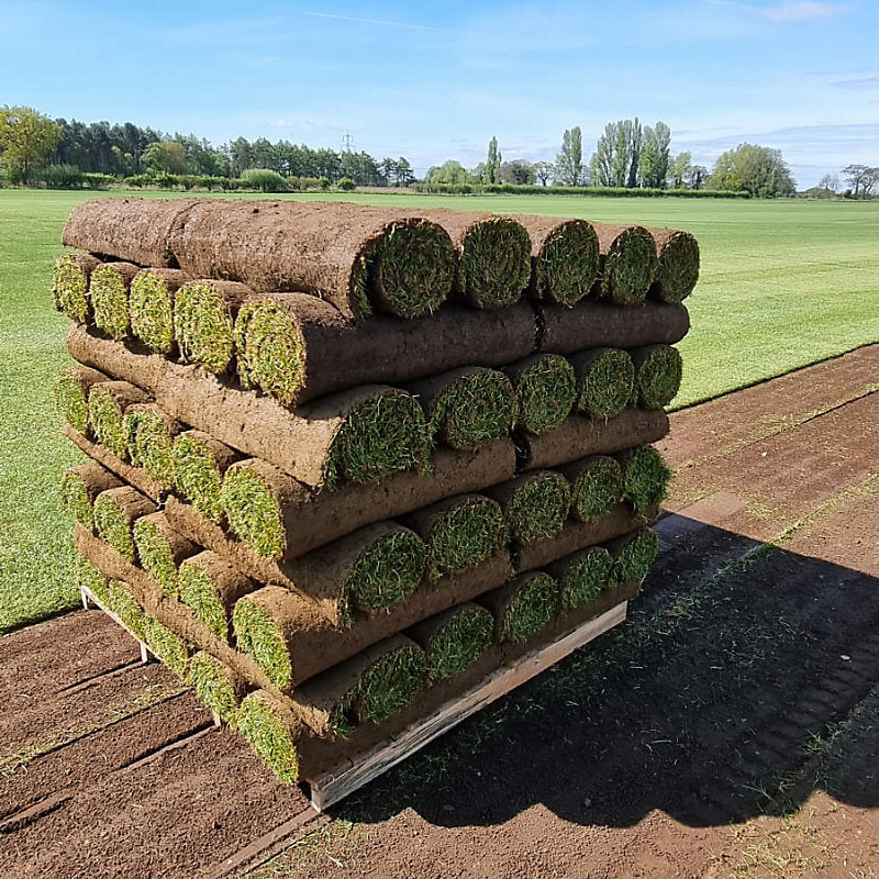 Premium Lawn Turf 1m2 Roll