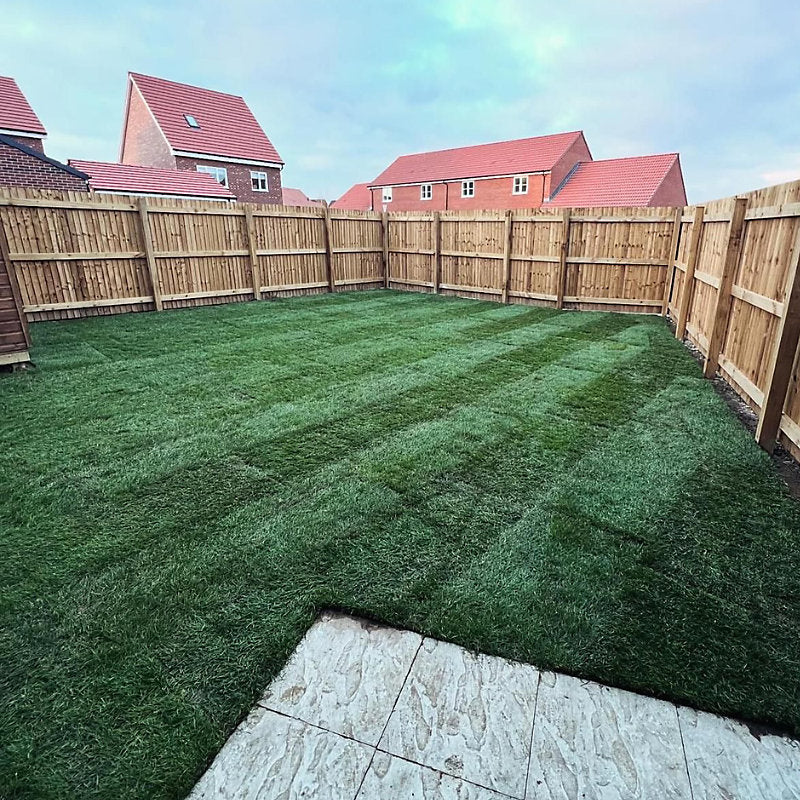 Premium Lawn Turf 1m2 Roll